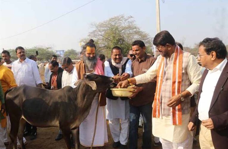 प्रदेश में अधिक से अधिक बनें स्वावलंबी गो-शालाएँ : राज्यमंत्री पटेल