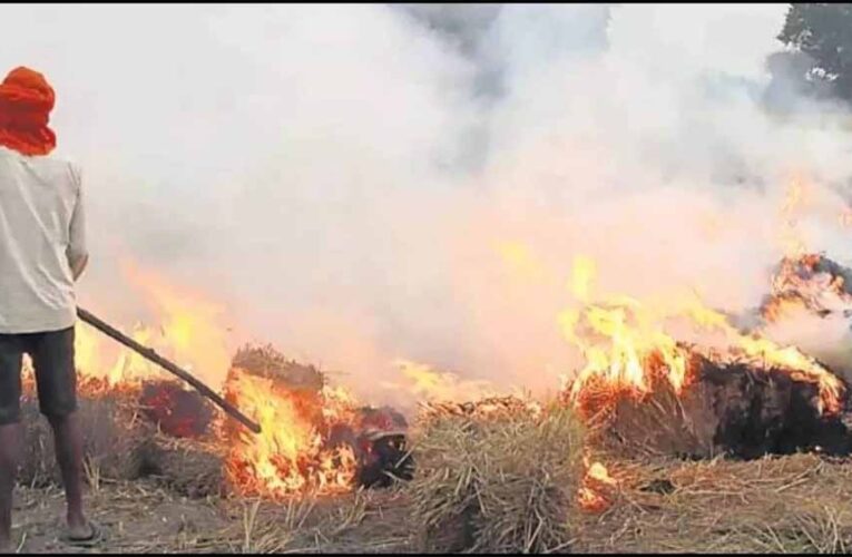 सख्ती बेअसर! इस साल पराली जलाने के मामले बढ़े, कई जिले टॉप लिस्ट में