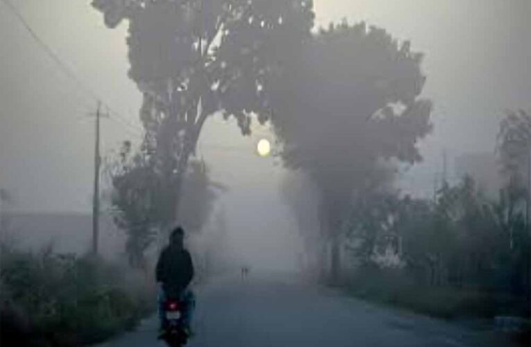 उत्तर भारत में ठंड का कहर शुरू! कोहरे की चादर से ढका उत्तर भारत, IMD ने जारी किया अलर्ट