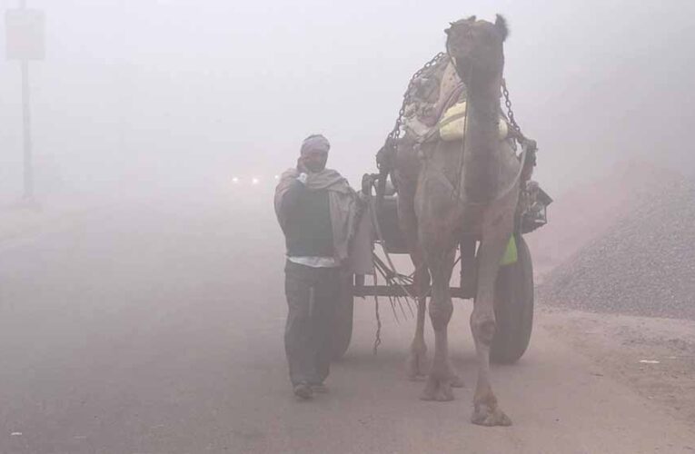 उत्तरी हवा के असर से राजस्थान में ठंड जारी, सीकर में कोल्ड-वेव का येलो अलर्ट