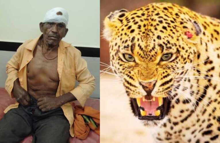 ग्रामीण पर तेंदुए का हमला, जंगल से नीम की पत्तियां लेने गया था