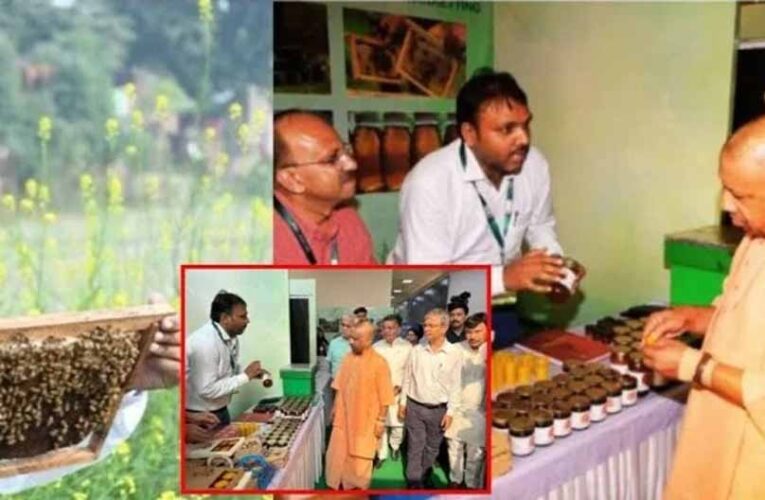 बाराबंकी की शहद उत्पादक मधुमक्खीवाला फर्म को मिली ग्लोबल पहचान, न्यूज़ीलैंड के प्रतिनिधि दल ने किया निरीक्षण