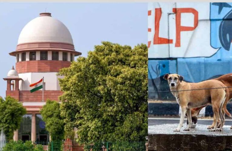 ‘मानवता क्या है, यह हम बताएंगे’—आवारा कुत्ते मामले में कोर्ट की सख्त टिप्पणी