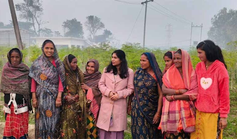 सीएम योगी का विजन : मोरिंगा से आत्मनिर्भर बन रहीं यूपी की बेटियां