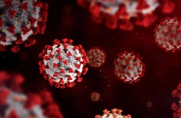 न्यू ईयर से पहले महामारी की आहट! इस बीमारी ने बढ़ाई लोगों की चिंता