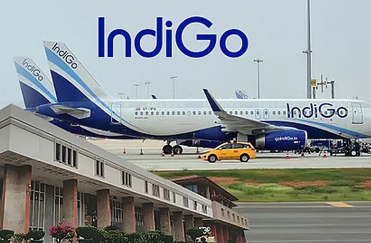 IndiGo पर सख्ती बढ़ी, पायलट से विमान तक, अब 8 सदस्यीय टीम करेगी रोज़ 4 चीजों की जांच