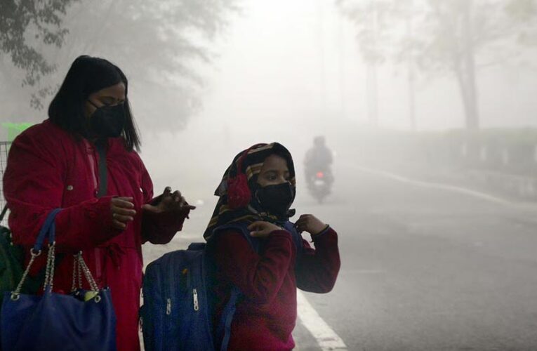 मध्यप्रदेश में सर्दी का कहर: पचमढ़ी के बराबर ठंड, इंदौर-भोपाल में पारा 7° से नीचे