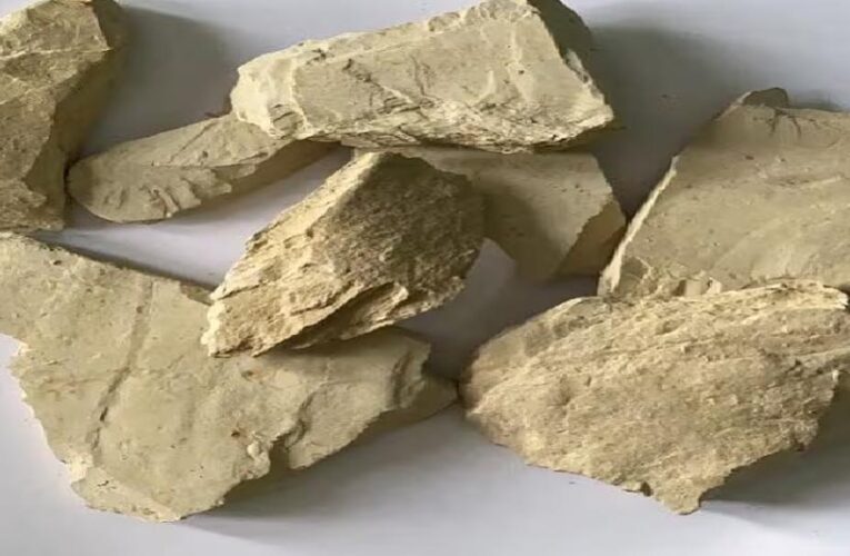 देसी मुल्तानी मिट्टी ने बढ़ाया भारत का मान, अमेरिका-जापान चुकाते हैं भारी कीमत