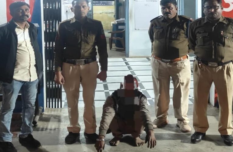 मध्यप्रदेश पुलिस का अवैध हथियारों पर कड़ा प्रहार