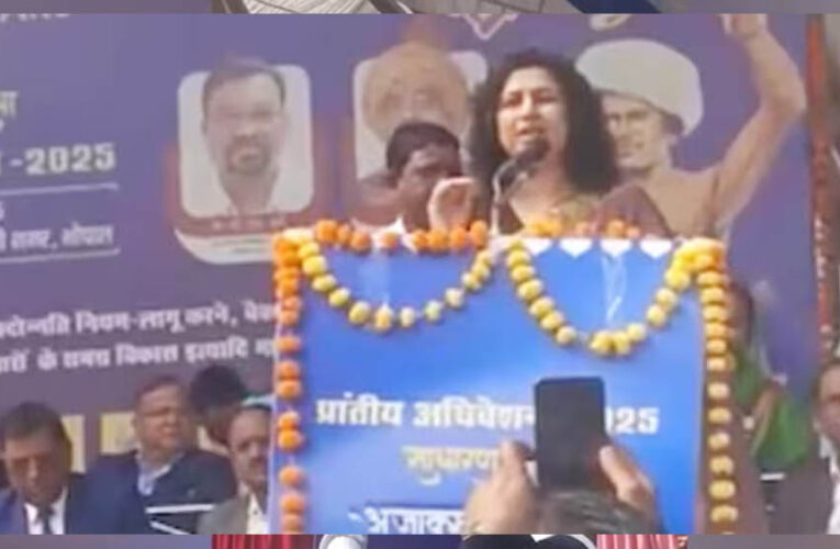 IAS मीनाक्षी सिंह का विवादित वीडियो वायरल, सवर्ण समाज में नाराज़गी