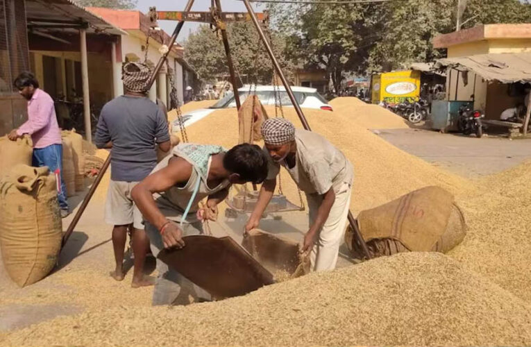धान खरीद में नया रिकॉर्ड: 4 लाख से अधिक किसानों से खरीदा गया 25 लाख मीट्रिक टन धान