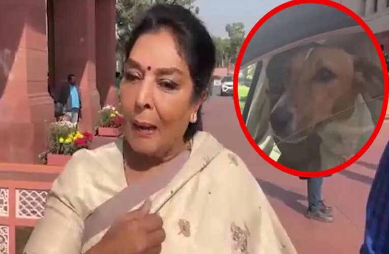 संसद में कार में पालतू कुत्ता लेकर पहुंचीं रेणुका चौधरी, बोलीं- ‘अंदर वाले काटते हैं, मेरा कुत्ता नहीं’