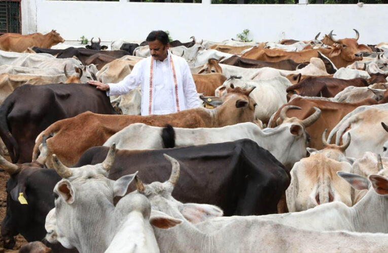 विकसित भारत का कृषि मॉडल: गौ-आधारित प्राकृतिक खेती और स्वस्थ जीवन