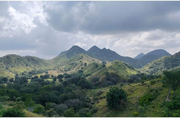 SC ने माना मंत्रालय की 100 मीटर अरावली परिभाषा अस्पष्ट और खतरनाक, कहा भौगोलिक पहचान टूट सकती है