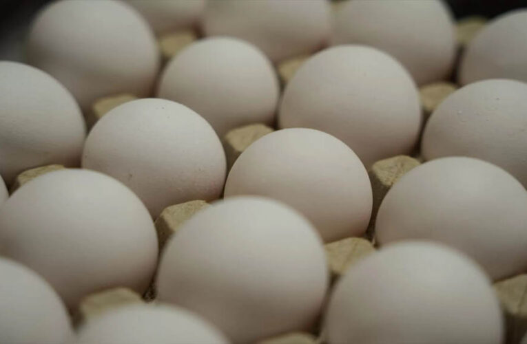 अंडे हुए महंगे: बाजार में 8 से 12 रुपये प्रति अंडा, कीमत बढ़ने की क्या है वजह?
