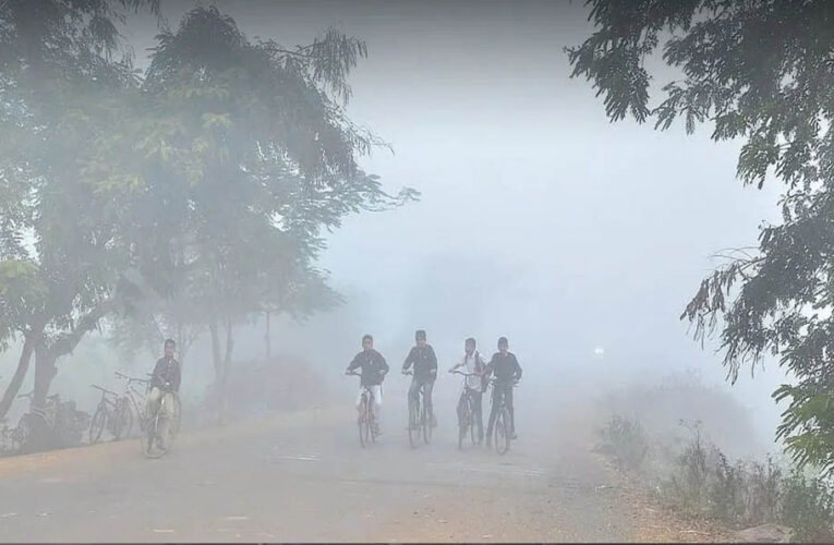 MP में कड़ाके की ठंड, पचमढ़ी में पारा 4.2°C पर, 25 शहरों में तापमान 10°C से नीचे; कई जिलों में घना कोहरा