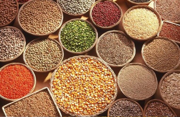 इंदौर में 12 से 14 दिसंबर तक आयोजित होगा जैविक खेती और स्वाद का महोत्सव