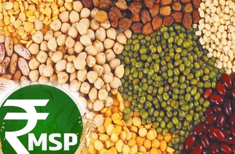 किसानों को बड़ा तोहफा: सरकार करेगी दलहन की 100% खरीद, MSP पर केंद्र ने दिया अपडेट