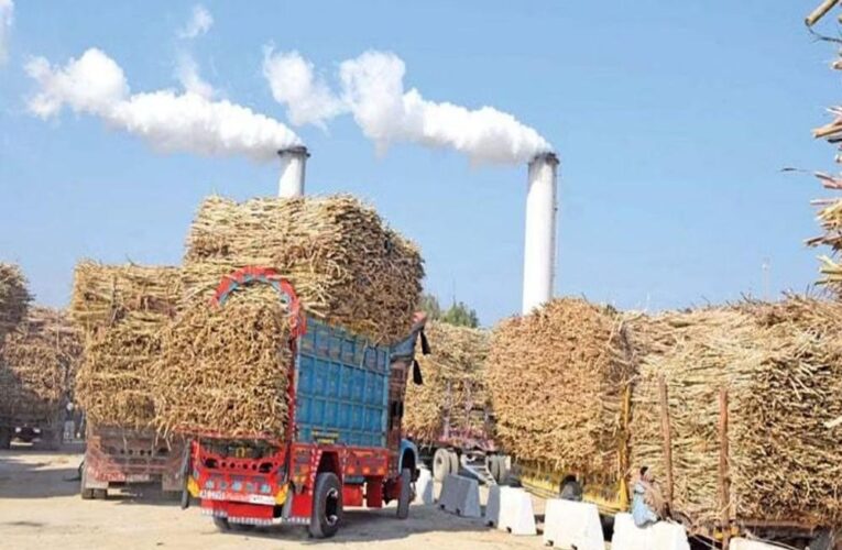 कैलारस शुगर मिल नए साल से पहले हो सकता है चालू, 10 हजार किसान देंगे गन्ना