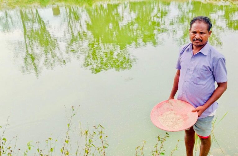 रायपुर : डबरी बनी खुशहाली की राह : किसान हिरमाराम की आमदनी हुई दोगुनी, सालाना बढ़ी एक लाख रुपये तक