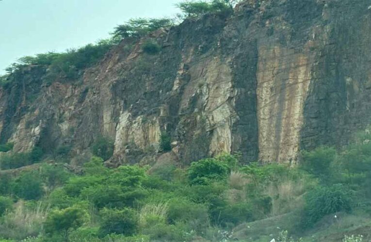 अरावली पर घमासान! ‘ग्रेट ग्रीन वॉल’ हटने से क्या सच में रेगिस्तान बन जाएंगे ये राज्य? जानिए पूरी सच्चाई