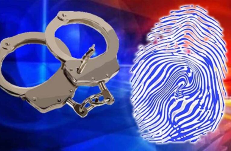 नोएडा पुलिस की बड़ी कार्रवाई: मोबाइल चोरी–स्नैचिंग गिरोह का पर्दाफाश, ₹2 करोड़ का इलेक्ट्रॉनिक सामान बरामद