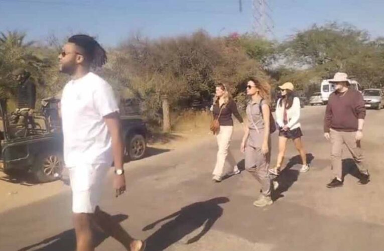 न्यू ईयर सेलिब्रेशन का हॉटस्पॉट बने एमपी के टाइगर रिज़र्व, 10 दिन देसी-विदेशी सैलानियों से रहे गुलजार