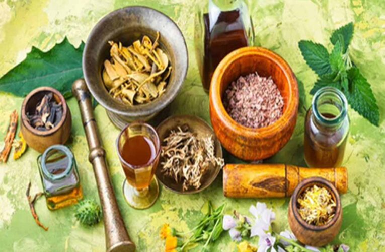 भृंगराज से त्रिफला तक: रूस में भारतीय आयुर्वेद की जबरदस्त एंट्री, बढ़ता वैश्विक भरोसा