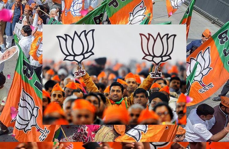 यूपी में बीजेपी का नया अध्यक्ष जल्द, MP-MLA की उदासीनता पर संघ ने जताई नाराजगी