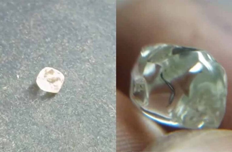 पन्ना में लकवाग्रस्त किसान की किस्मत चमकी, 3.39 कैरेट का हीरा मिला—कीमत जानकर दंग रह जाएंगे