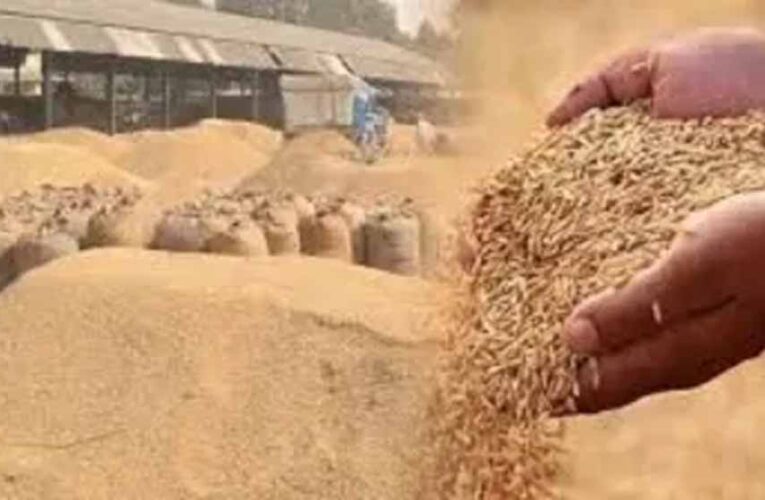 अब  तक 17.24 लाख टोकन से 87 लाख टन धान  की हो चुकी खरीदी