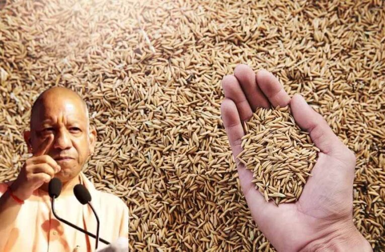 खेती से लेकर कारखानों तक, विकास का रोल मॉडल बन रहे यूपी के ग्रामीण क्षेत्र