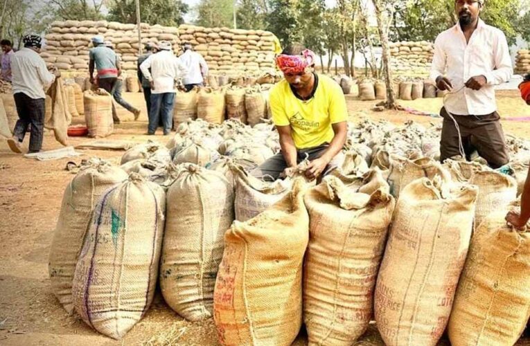 धमतरी में रिकॉर्ड रफ्तार से धान खरीदी, किसानों को 409 करोड़ का हुआ भुगतान