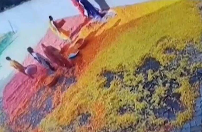 जबलपुर में फूड फैक्ट्री का गंदा सच उजागर, पैरों से कुचलकर फ्राइज मिलाते मिले कर्मचारी