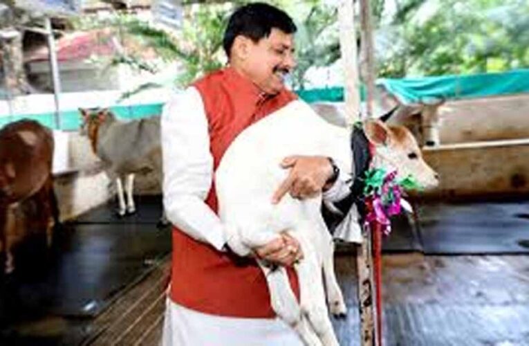 पशुपालकों की समृद्धि की ओर बढ़ रहा मध्यप्रदेश: मुख्यमंत्री डॉ. यादव