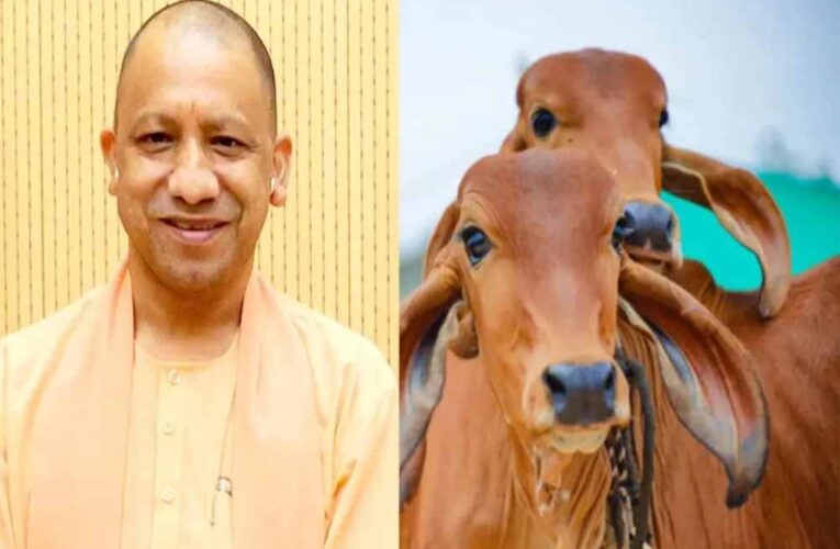 समृद्धि की राह दिखा रही योगी सरकार की नंदिनी कृषक समृद्धि योजना