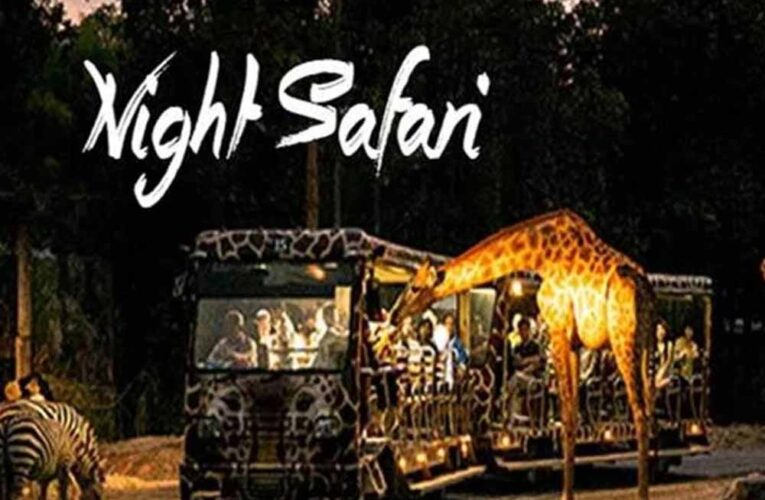 आज से बंद हुई नाइट सफारी: टाइगर रिज़र्व के बफ़र जोन में नया नियम लागू