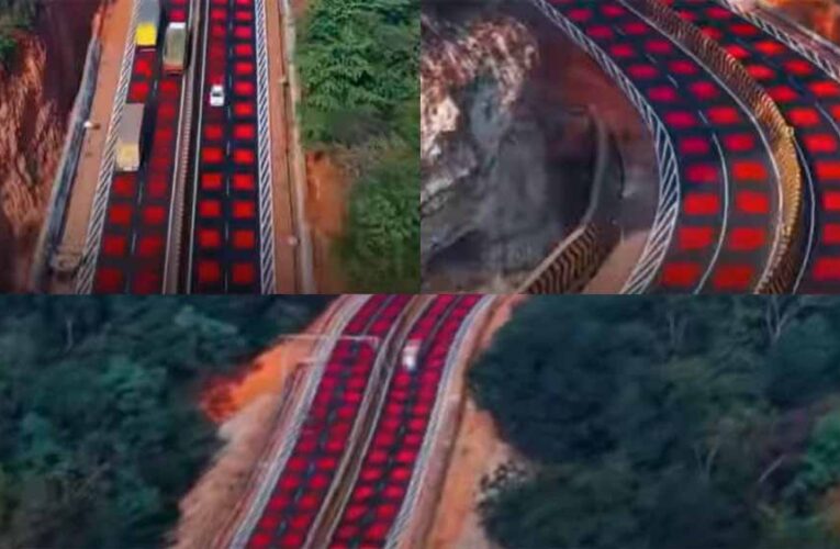 वन्यजीव संरक्षण में ऐतिहासिक कदम: मध्य प्रदेश के नेशनल हाईवे पर बनी भारत की पहली ‘रेड रोड’