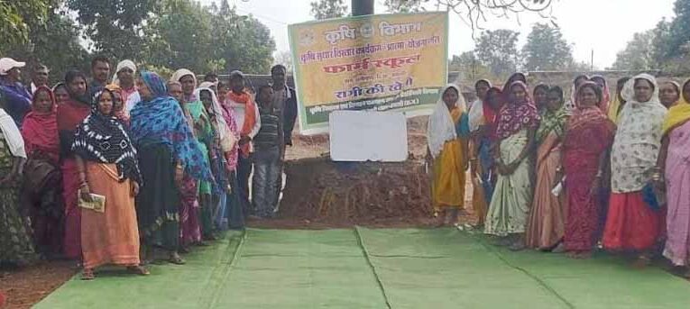 50 वर्षों बाद धमतरी के आदिवासी अंचल में रबी खेती की वापसी