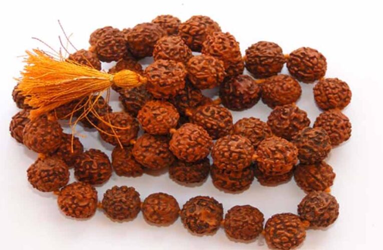रुद्राक्ष धारण करने से पहले जान लें ये जरूरी नियम, नहीं तो नहीं मिलेगा पूरा फल