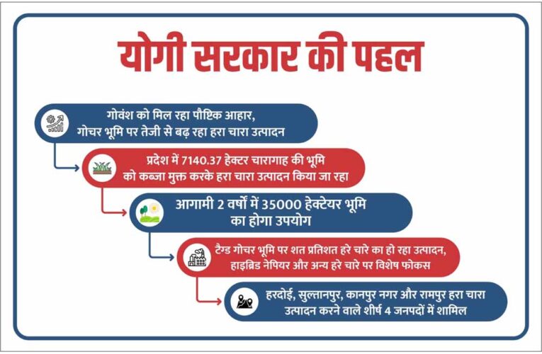 योगी सरकार की संवेदनशील पहल: गोवंश को मिल रहा पौष्टिक आहार, गोचर भूमि पर तेजी से बढ़ रहा हरा चारा उत्पादन