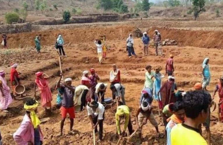 वीबी-जी राम-जी का सकारात्मक प्रभाव- आदिवासी एवं वनांचल बहुल गांवों में आजीविका का सशक्त नया अध्याय