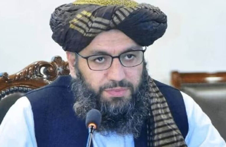 नूर अहमद नूर की भारत में नियुक्ति: अफगानिस्तान-भारत संबंधों के नए अध्याय की शुरुआत