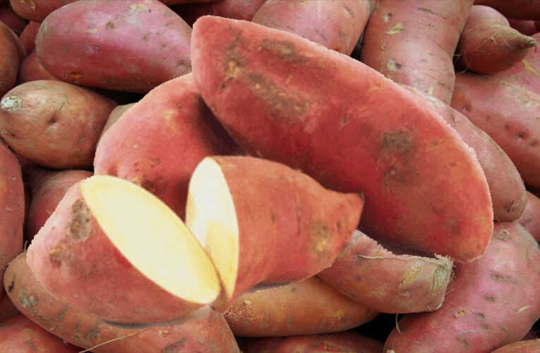 शकरकंद को मामूली सब्जी समझते हैं? इसके 6 गजब फायदे जानकर आज से इसे खाना शुरू कर देंगे