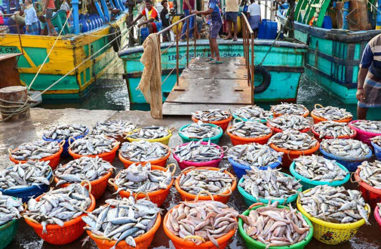 US टैरिफ की चुनौती को पछाड़ते हुए भारत के सीफूड निर्यात में 21% का उछाल