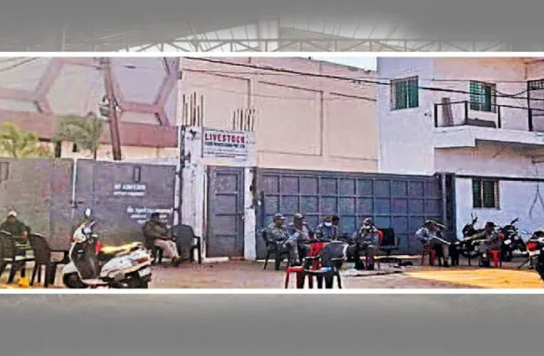 स्लॉटर हाउस कांड: दुधारू भैंसों को काटने का चौंकाने वाला सच, बछड़े और पाड़ों के अवशेष मिले