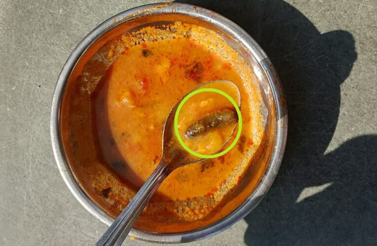 खंडवा: खाने में 3 इंच की इल्लियां, विरोध करने पर वार्डन ने कहा- तुम्हारी निजी बातें उजागर कर दूंगी