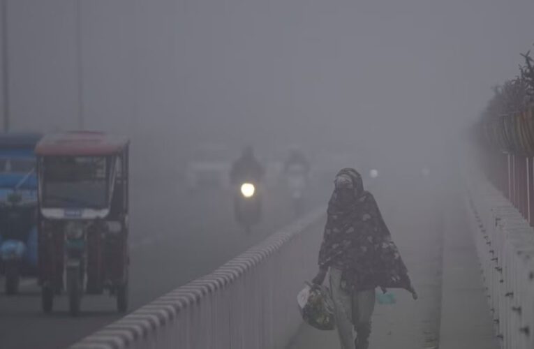 MP में पारा गिरकर 4.6 डिग्री, कोल्ड वेव का असर: भोपाल-इंदौर भी ठंडे, ग्वालियर-चंबल में कोहरा; 20 के बाद मावठा