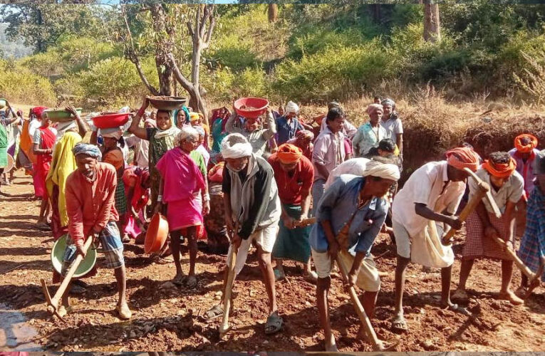 सर्वाधिक दिव्यांगों, महिलाओं एवं परिवारों को रोजगार देने में कबीरधाम जिला प्रदेश में पहले स्थान पर