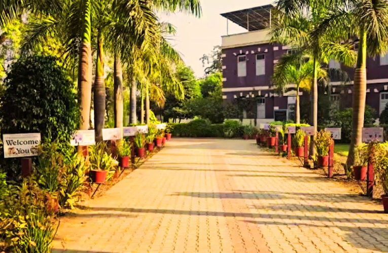 गुजरात का NRI गांव: 10 हजार की आबादी, अरबों का टर्नओवर, फिर भी नहीं एक भी पुलिस थाना